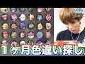 【ポケモン】1ヶ月毎日色違い探したら超大量にゲットできたｗｗｗ