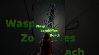 Zombie Cockroach #tamil #science