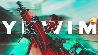 you know what I mean 😉 'YKWIM' (Valorant Montage)
