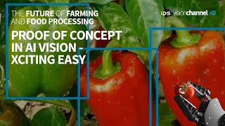 Proof of concept in AI vision made easy with IDS NXT