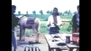 RHOMA irama - Kawula Muda