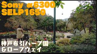 神戸布引ハーブ園／ロープウェイ Kobe Nunobiki Herb Gardens & Ropeway -  Camera : SONY a6300 selp1650 sel 55210