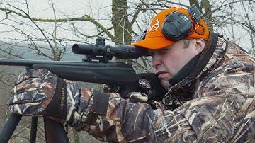 Driven Wild Boar Hunting in Hungary