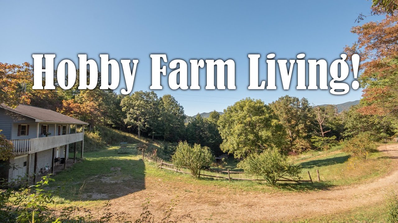 SOLD - Hobby Farm in WNC Mountains on Unrestricted Land & 3/1 Home ...