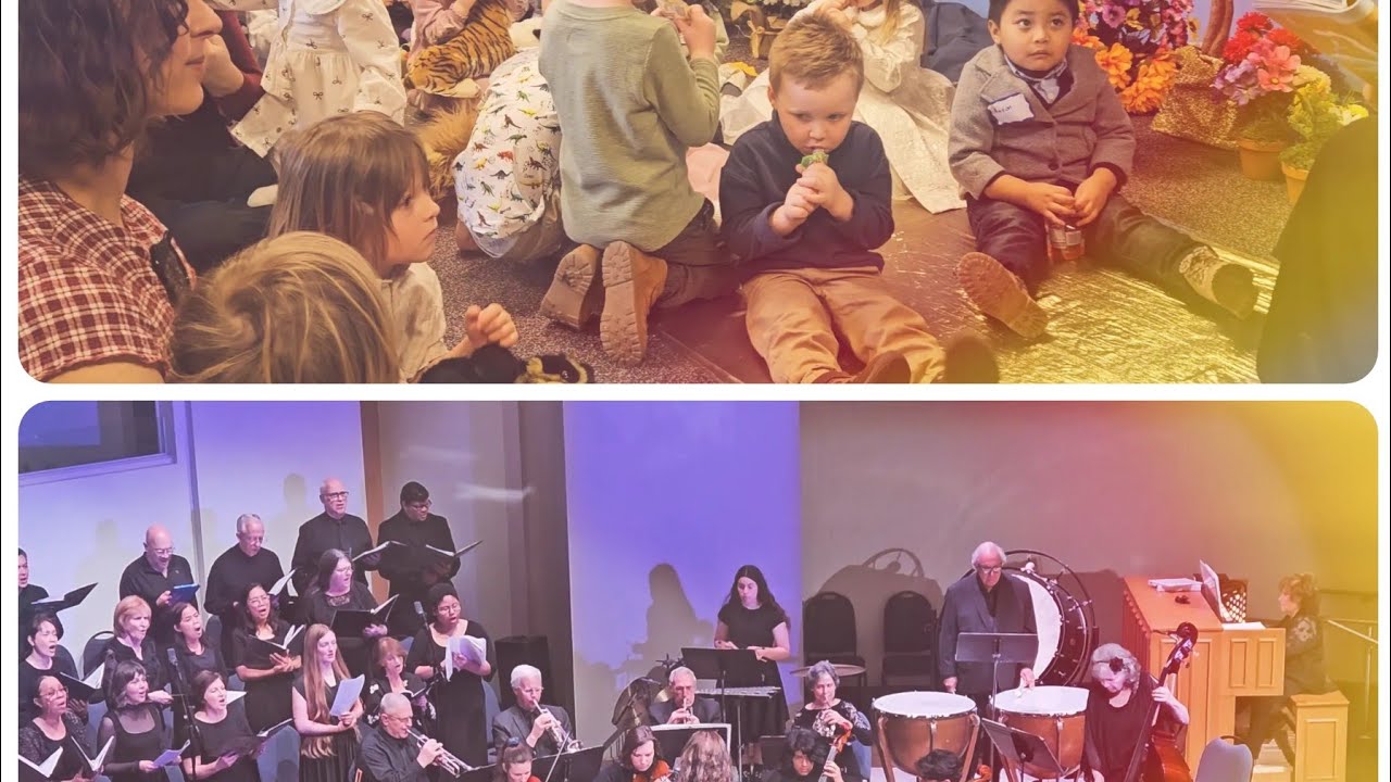 🇺🇲Nashville music🎼🎻🎵 city zinna leh a behbawm vlog🌸