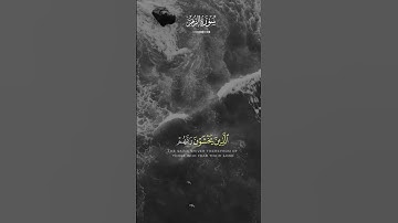 سوره الزمر للشيخ القارئ ماهر المعيقلي #ارح_قلبك #اكسبلور #قرآن