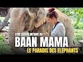 Baan mama  le refuge pour les elephants de thalande