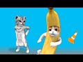 Happy cat and crying banana cat meme
