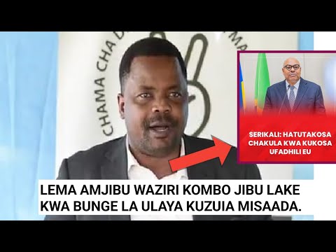 SIKIA JIBU LA GODBLESS LEMA KWA WAZIRI KOMBO BAADA YA KUJIBU BUNGE LA ULAYA KUZUIA MISAADA NCHINI