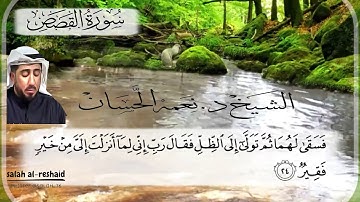 سورة القصص الشيخ نعمنه الحسان
