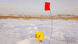 Подъём Тут Как Тут.рыбалка На Жерлицы И Окуни На Мормышку.