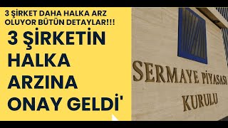 3 Şirketin Halka Arzına Onay Geldi Spk 3 Şirketin Halak Arzını Onayladı