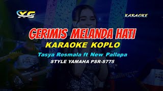 Download lagu Tasya Rosmala ft New Pallapa Gerimis Melanda Hati ... mp3