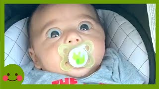 Trate de no reírse Parte 46 | Momentos más lindos jamás 🤣  | Videos lindos y divertidos ★ by Funny Pets Espanol 4,852 views 2 years ago 9 minutes, 15 seconds