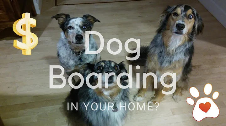 Inicie um negócio de hospedagem de cães em casa