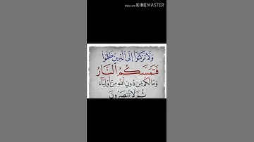 سورة المائدة آية 113