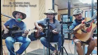 ##El Condor Pasa covere by The Singing Torogi