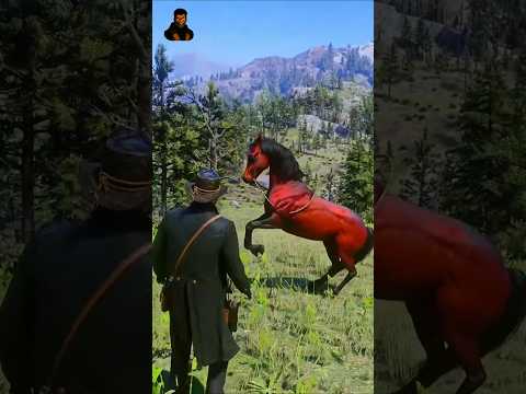 اماكن افضل الاحصنة العربية النادرة في ريد ديد 2