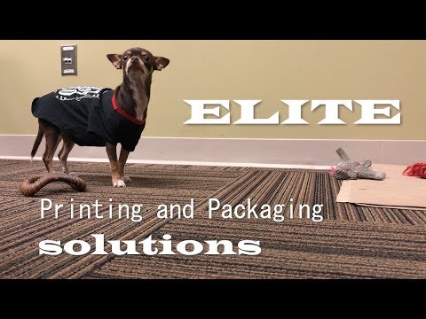 Elite - Printing and Packaging for the Pet Food Industry