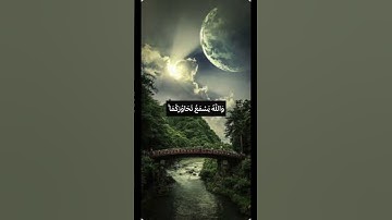 وَاللَّهُ يَسْمَعُ تَحَاوُرَكُمَا ۚ❤️#حسن_الظن_بالله #راحة_نفسية #مع_القرآن #اطمئنان #سورة_المجادلة