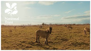 The National Trust presents The Wild Life, Episode Three, Wicken Fen, Cambridgeshire