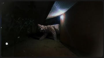 Liminal Spaces But They Keep Getting Creepier...💀 (Part 117)