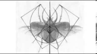 Complices Eternos - Mas alla del mar