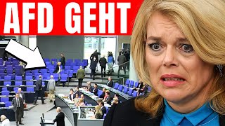Plötzlich stürmt AFD aus dem Saal! - Bundestag Debatte eskaliert NACH BELEIDIGUNG!