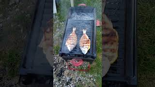 Konya Ereğli Çupra Mangal