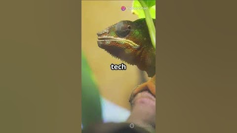 Quantum Dots: Tiny Tech, Big Impact!