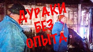 ВО ЧТО МЫ ВЛОЖИЛИ ДЕНЬГИ?!