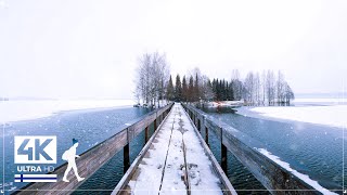 (20 April) Winter Returns to Finland, Beautiful Snowfall Walk - Slow TV 4K