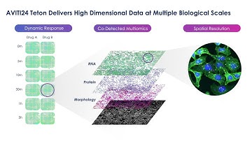 High Dimensional Biology with AVITI24