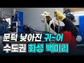 문턱 낮아진 귀어~ 수도권 화성 백미리마을│귀농귀촌 노하우│경영이양직불제│경기도 화성시 귀농귀촌│청년귀어│취업│어부