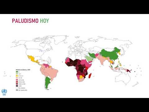 Vídeo: Relaciones Medias Y Estacionales Modeladas Y Observadas Entre El Clima, La Densidad De Población Y Los Indicadores De Malaria En Camerún