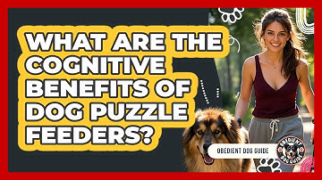 What Are The Cognitive Benefits Of Dog Puzzle Feeders? - Obedient Dog Guide