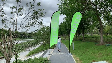 Fluo Yellow & Fluo Pink Feather Flags