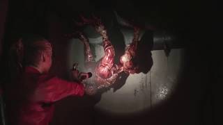 Resident Evil 2 Remake New Gameplay Trailer Zombie Survival Adventure Game 2019