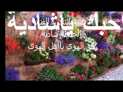وسقطت في بحر العسل