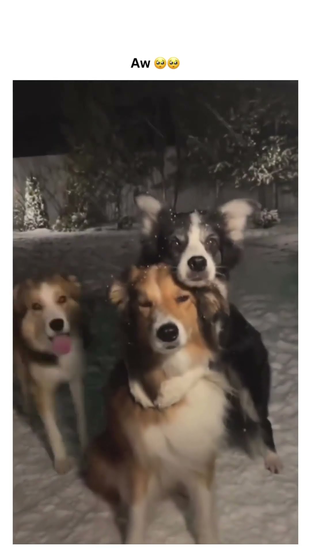 They just realized the villains prvnci and Nxcre are all chill