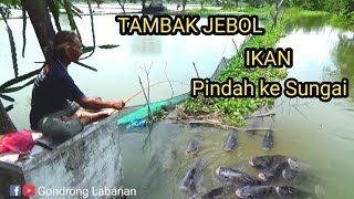 Gratis,, ikan melimpah!!! Cuma hitungan detik mancing ikan di sini,,