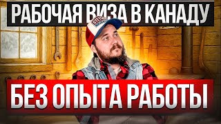 Рабочая виза в Канаду без опыта работы 2025 | Как уехать без стажа и диплома
