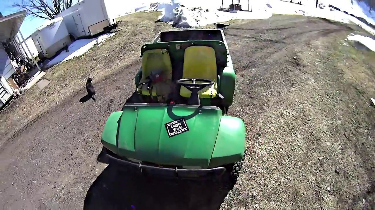 Logger Wade Sticker and Selective Thinning