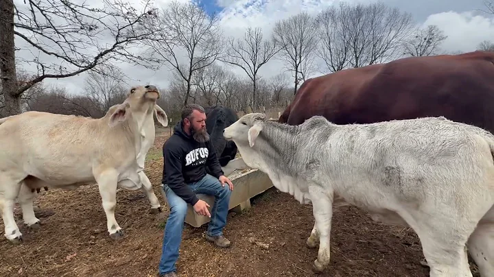 When will Rufus be a dad again? Here ya go!! 