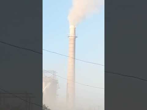 video 2023 06 28 07 39 02