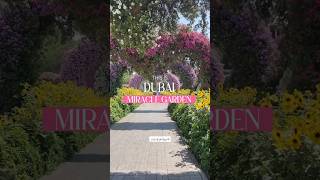 حديقة الزهور في دبي اجمل بقاع الأرض trending reels vlog tiktok viral youtubeshorts youtube