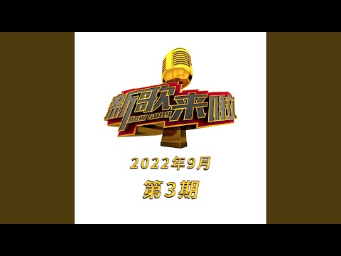 雁南飞 (Live)