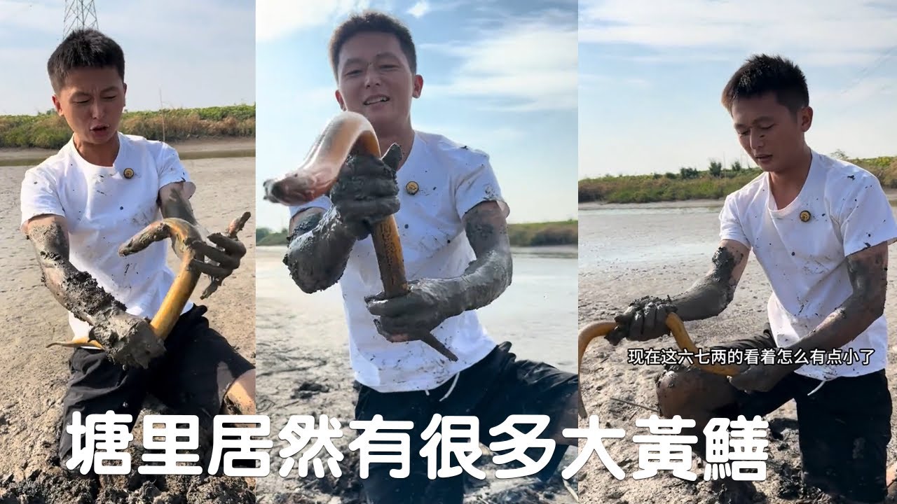 大爺今年養鱖魚虧了，卻不曾想自己塘裏居然還有那麽多大黃鱔！#viralvideo #fishing #熱門 #抓魚