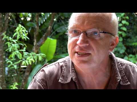 IBC Coaching -