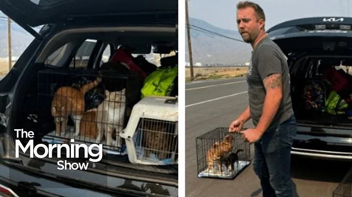 BC wildfires: Push underway to rescue animals left behind during evacuations